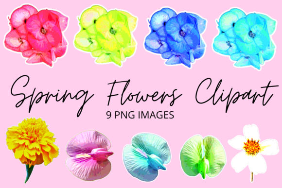 Download Colourful Spring Flowers Clipart Set - Colourful Collection